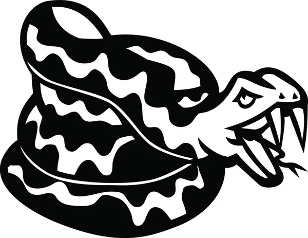 具有侵略性的卷曲蛇毒蛇或蟒蛇吉祥物复古黑白相间 — 图库矢量图片