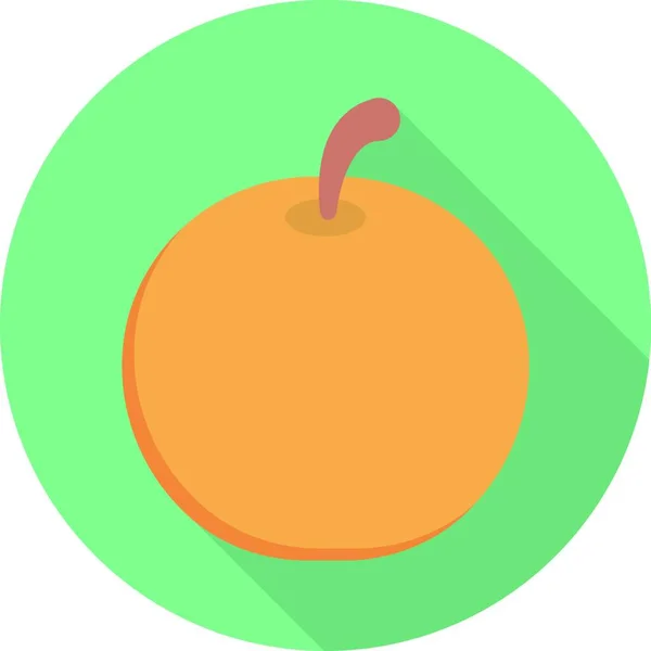 Citrus Icon Vector Illustration — Stock Vector