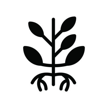 tohum web simgesi, vektör çizim 