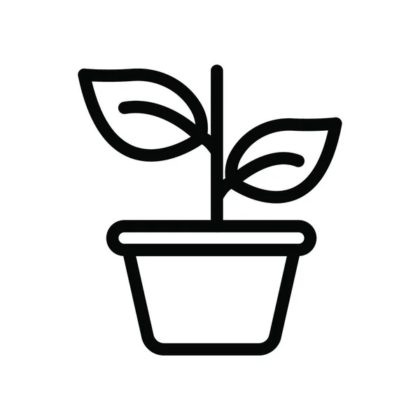 Vektorová Ilustrace Ikony Rostliny — Stockový vektor