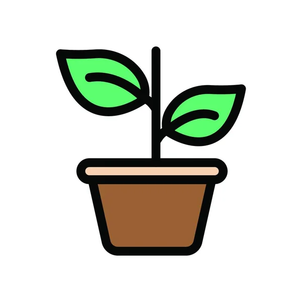 Vektorová Ilustrace Ikony Rostliny — Stockový vektor