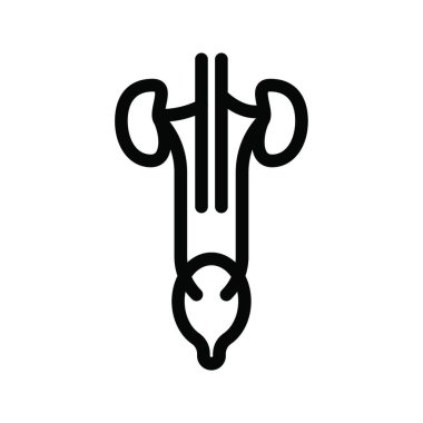 üroloji ikonu vektör illüstrasyonu 