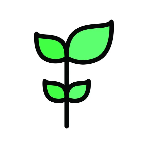 Grüne Pflanze Einfache Vektorillustration — Stockvektor