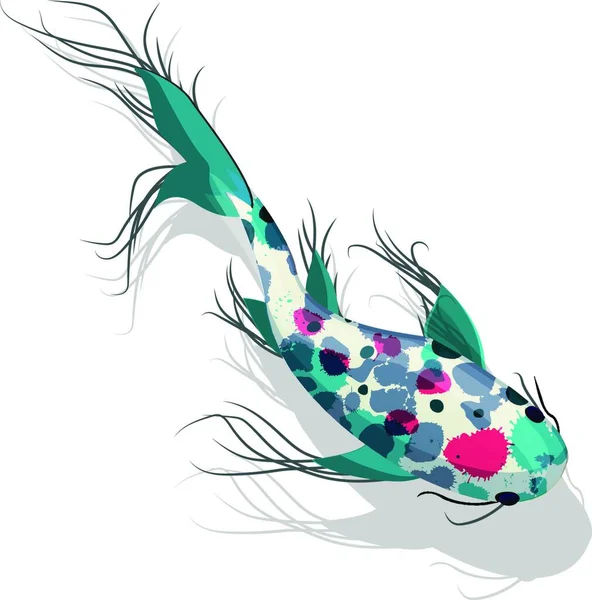 Koi Fish Illustrazione Grafica Vettoriale — Vettoriale Stock