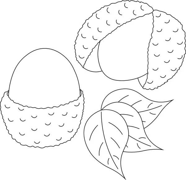 Lychees Feuilles Noir Blanc — Image vectorielle