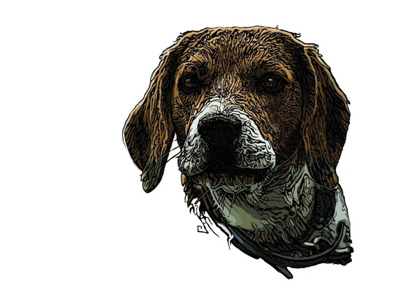 Icona Beagle Head Illustrazione Grafica Vettoriale — Vettoriale Stock