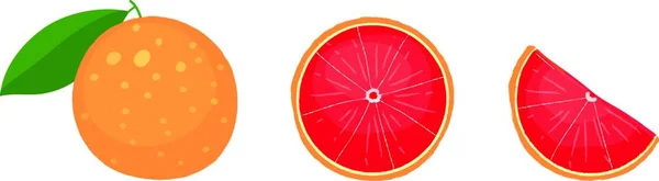 Grapefruit Whole Slice Wedge — Stock Vector
