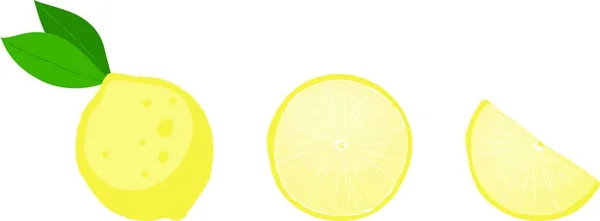 Fruta Del Limón Entera Rebanada Cuña — Vector de stock
