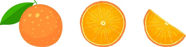 オレンジフルーツ全体 スライス およびウェッジ — ストックベクタ