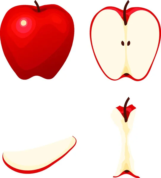 Whole Half Eaten Sliced Apples — Stock Vector