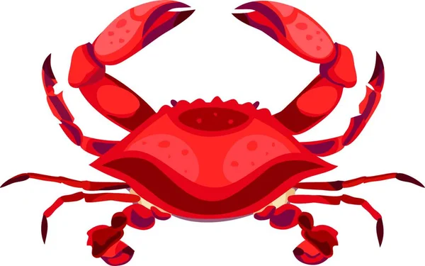 Rote Krabbe Einfache Vektorillustration — Stockvektor