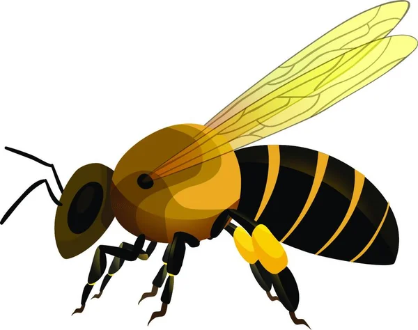 Single Bee Semplice Illustrazione Vettoriale — Vettoriale Stock