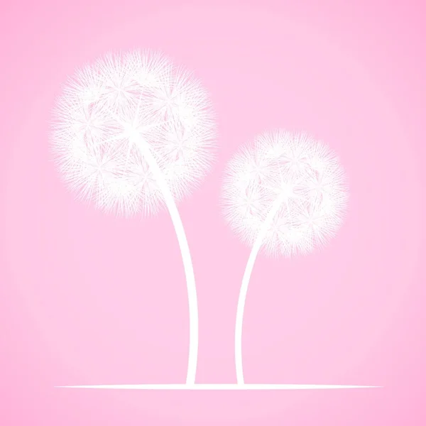 Dandelions Flowers Vector Illustration — Stock Vector