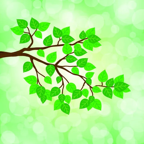 Zweige Grüne Blätter Vektor Illustration — Stockvektor
