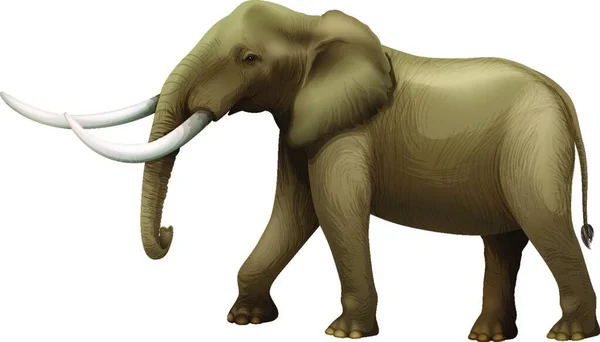 Gran Elefante Vector Ilustración — Archivo Imágenes Vectoriales