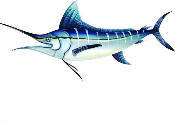 Atlantik Modrý Marlin Ikona Vektor Ilustrace — Stockový vektor