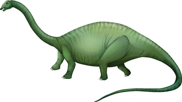 Herbivorous Dinosaur Graphic Vector Illustration — Stock Vector