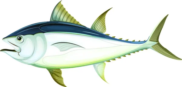 Ilustracja Atlantyckiego Tuńczyka Błękitnopłetwego — Wektor stockowy