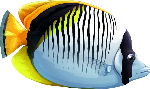 Иллюстрация Spot Nape Butterflyfish — стоковый вектор