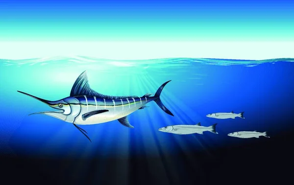 Illustration Atlantic Blue Marlin — Stock Vector