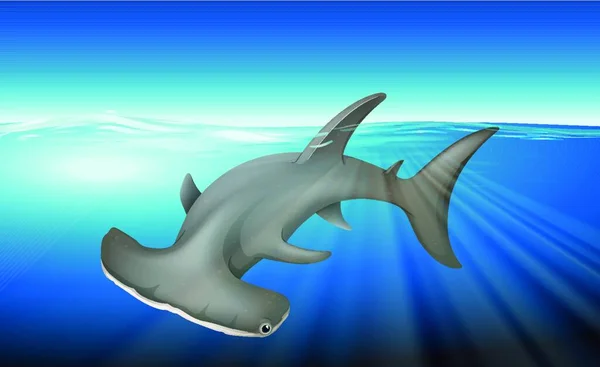 Illustration Hammerhead Shark — Stock Vector