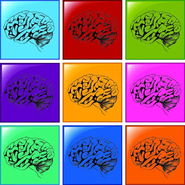 Illustration Des Icônes Cerveau — Image vectorielle
