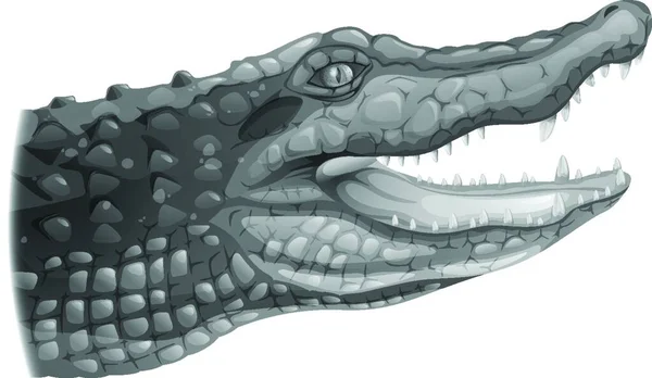 Illustration Grey Crocodile — Stock Vector