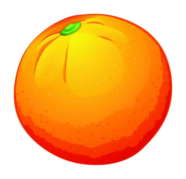 Illustration Den Stora Orange — Stock vektor