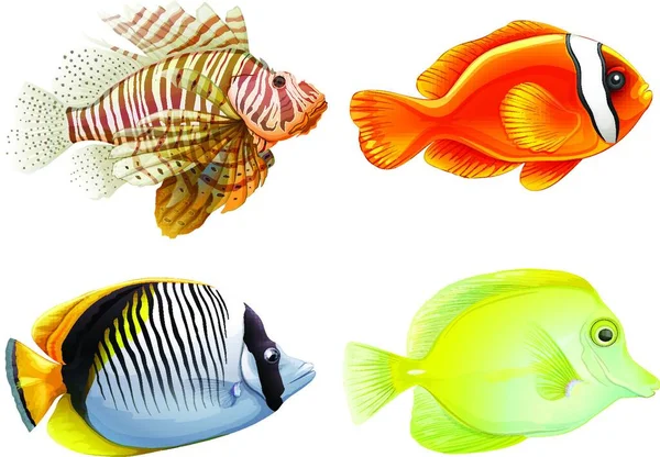 四条鱼的图解 — 图库矢量图片