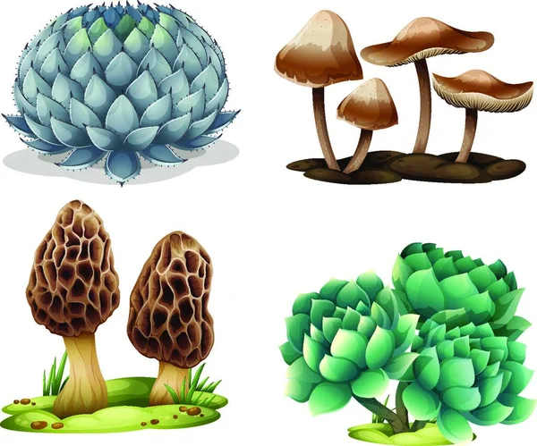 Illustration Cactus Mushrooms — Stock Vector