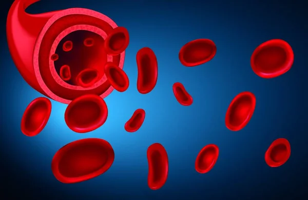 Kanın Çizimi — Stok Vektör