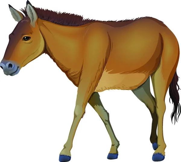 Illustrazione Del Cavallo Bruno — Vettoriale Stock