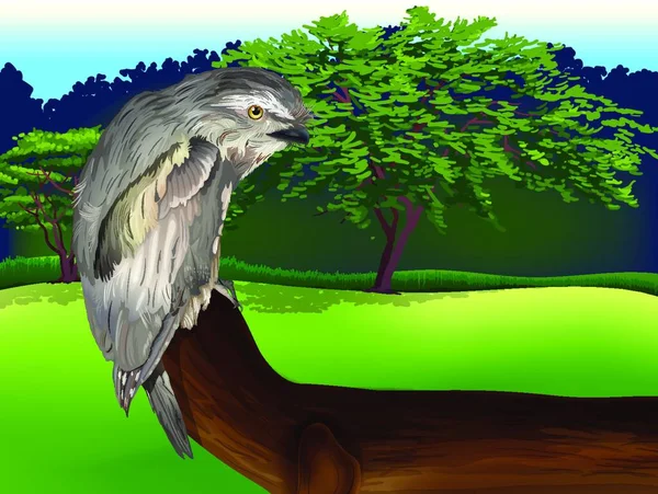 Ilustrace Divokého Ptáka — Stockový vektor