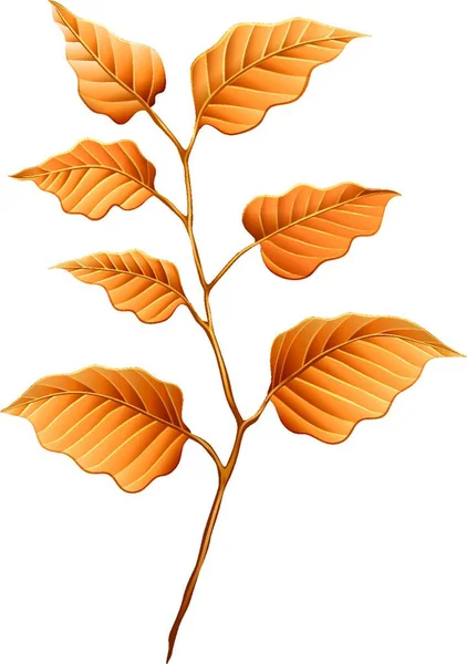 茶色の葉のイラスト — ストックベクタ