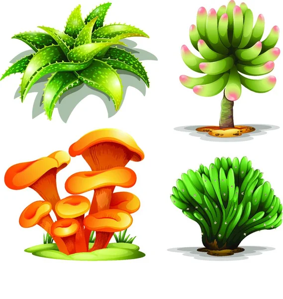 Illustration Different Plants — Stock Vector