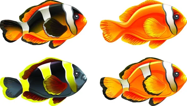 Ilustrace Čtyř Barevných Ryb — Stockový vektor