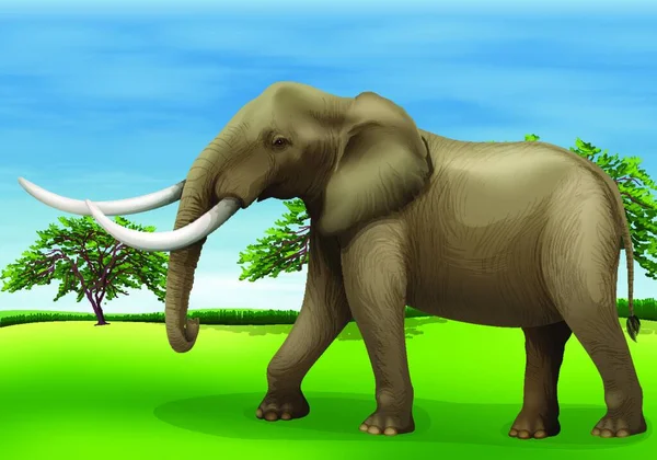 Illustration Elephant — Stock Vector