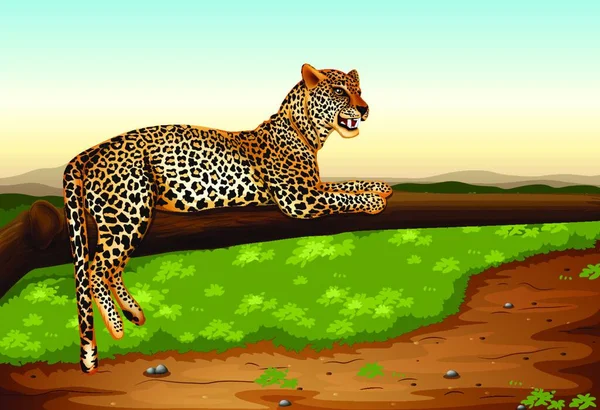 Leopard Graphic Vector Illustration — 스톡 벡터