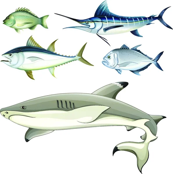 Fishes Graphic Vector Illustration — Stock Vector