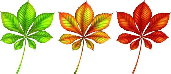 Leafy Plants Graphic Vector Illustration — Stock Vector