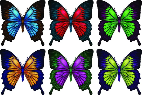 Красочные Бабочки Графическая Векторная Иллюстрация — стоковый вектор