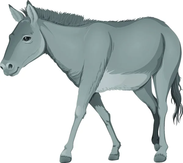 Grey Donkey Graphic Vector Illustration — Stock Vector