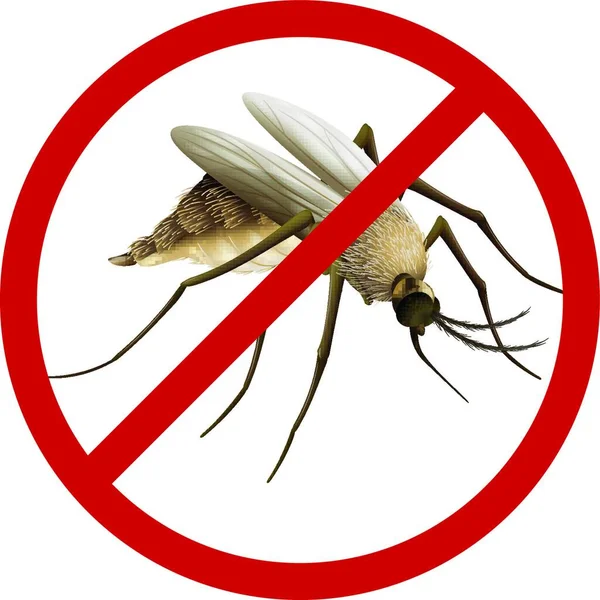 Mosquito Graphic Vector Illustration — Stock Vector
