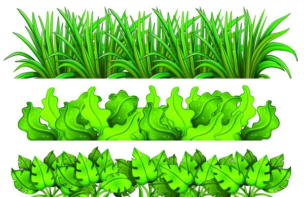 Different Plants Vector Illustration — Stock Vector