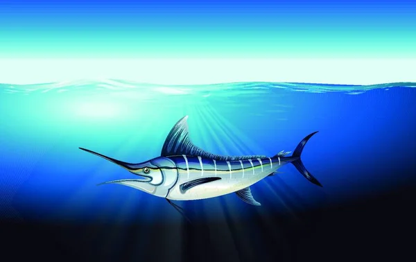 Marlin Fish Vector Illustration — Stock Vector