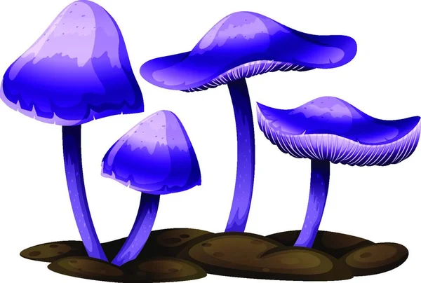 Purple Mushrooms Vector Illustration — Stock Vector