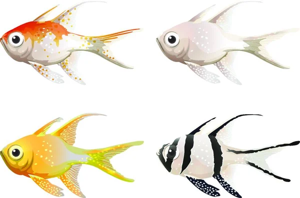海洋生物矢量插图 — 图库矢量图片