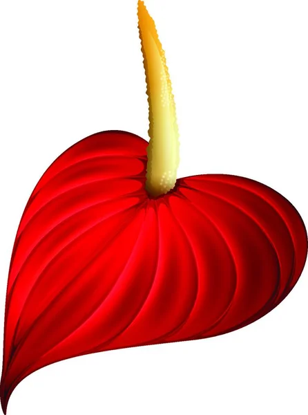 赤い花のベクターイラスト — ストックベクタ