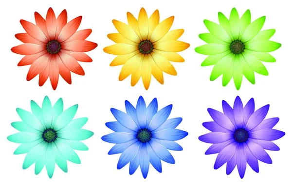 Set Met Bloemen Illustratie Achtergrond Cover Voor Kopieerruimte Kaart Behang — Stockvector