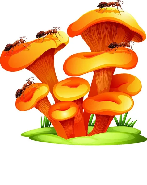 Fungos Com Formigas Ilustração Vetorial —  Vetores de Stock